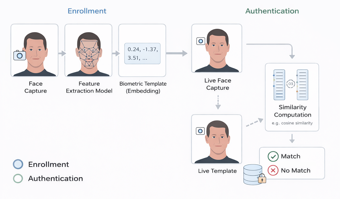 How biometric recognition systems work